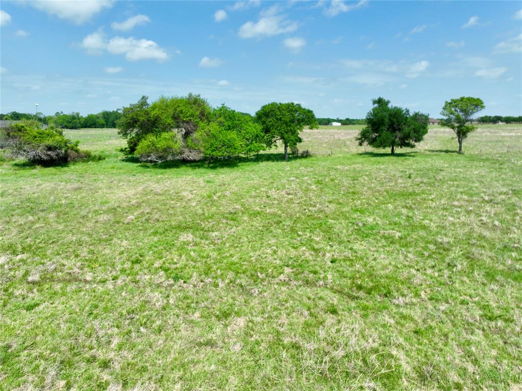 Tbd 11 Acres Fm 1183 Property Photo 10