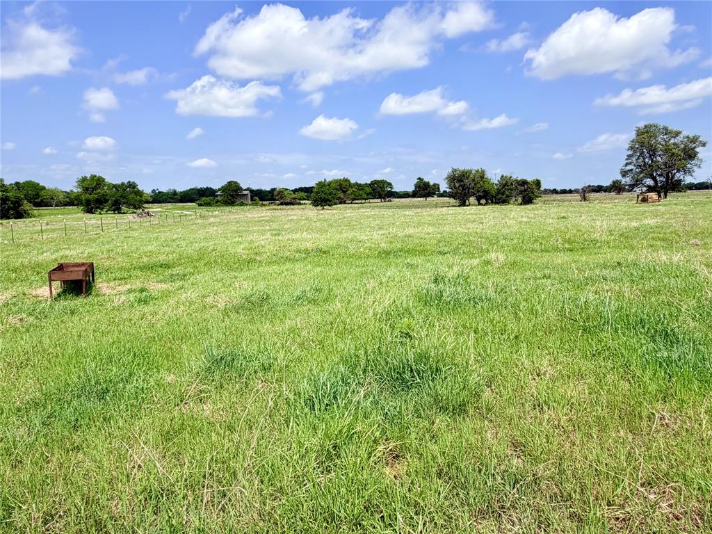 Tbd 11 Acres Fm 1183 Property Photo 11