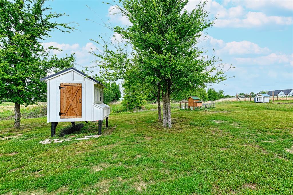 4656 County Road 1040 Property Photo 31