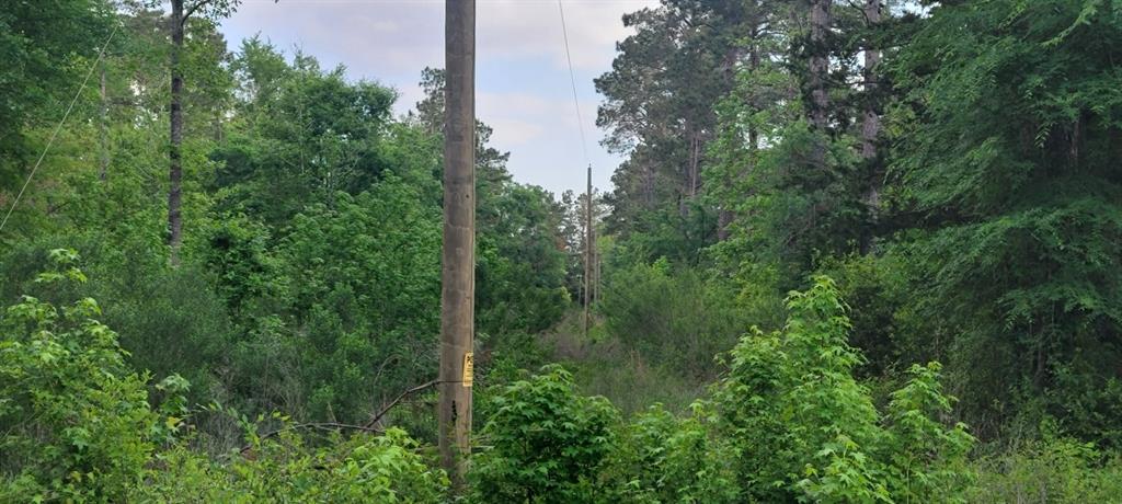 Tbd County Road 430 Property Photo 8