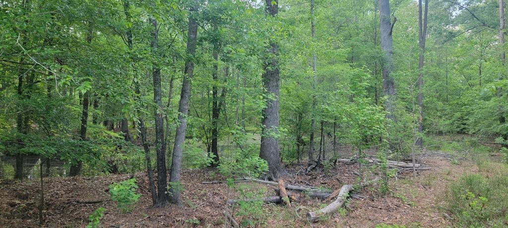 Tbd County Road 430 Property Photo 17