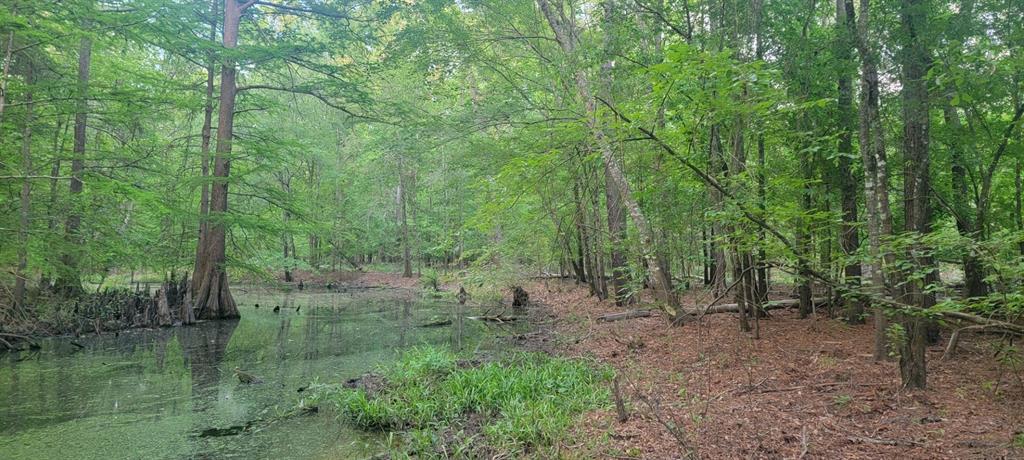 Tbd County Road 430 Property Photo 20