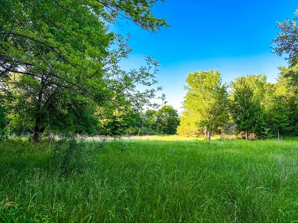 000 County Road 855 Property Photo 2