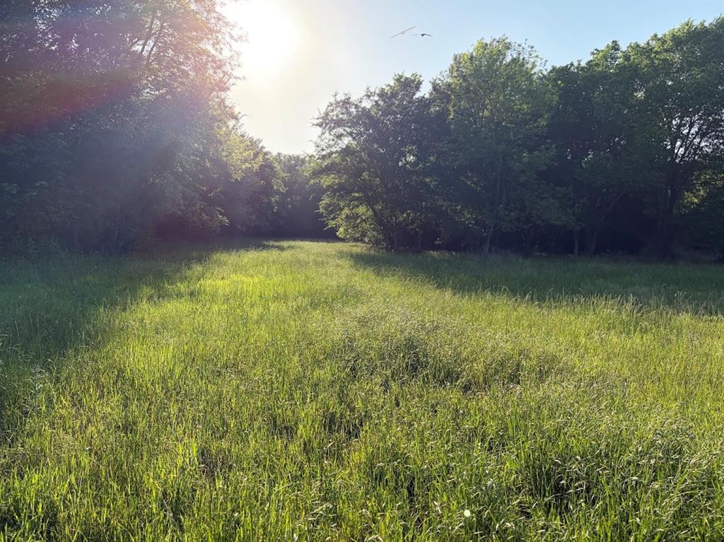 000 County Road 855 Property Photo 3