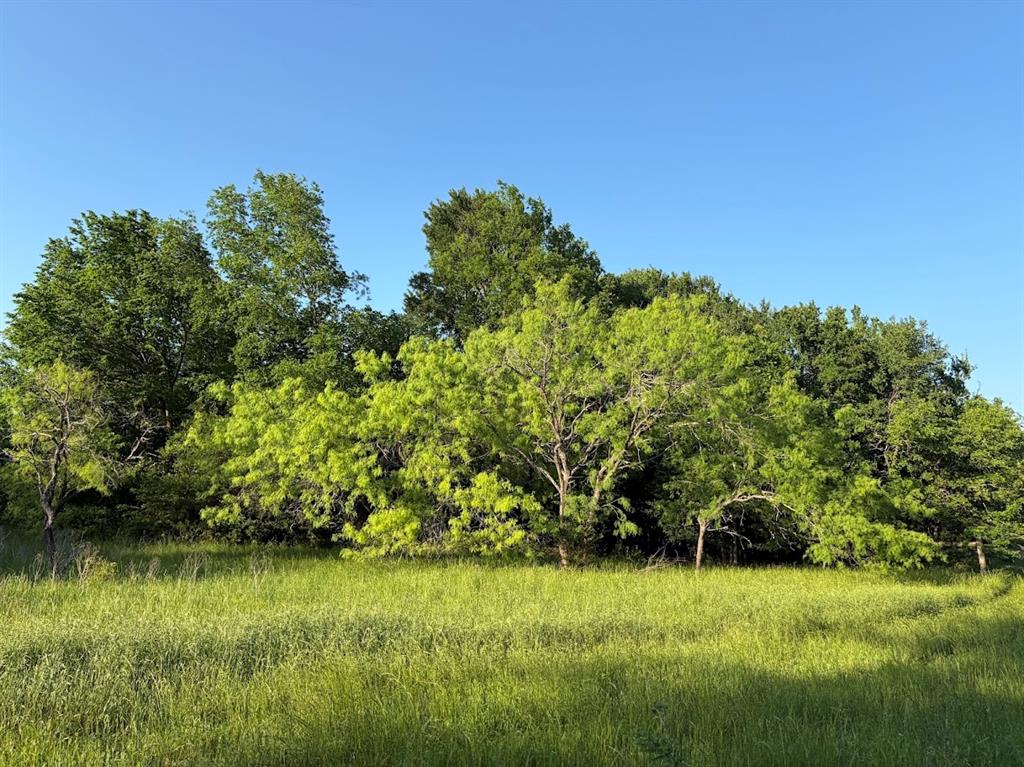 000 County Road 855 Property Photo 12