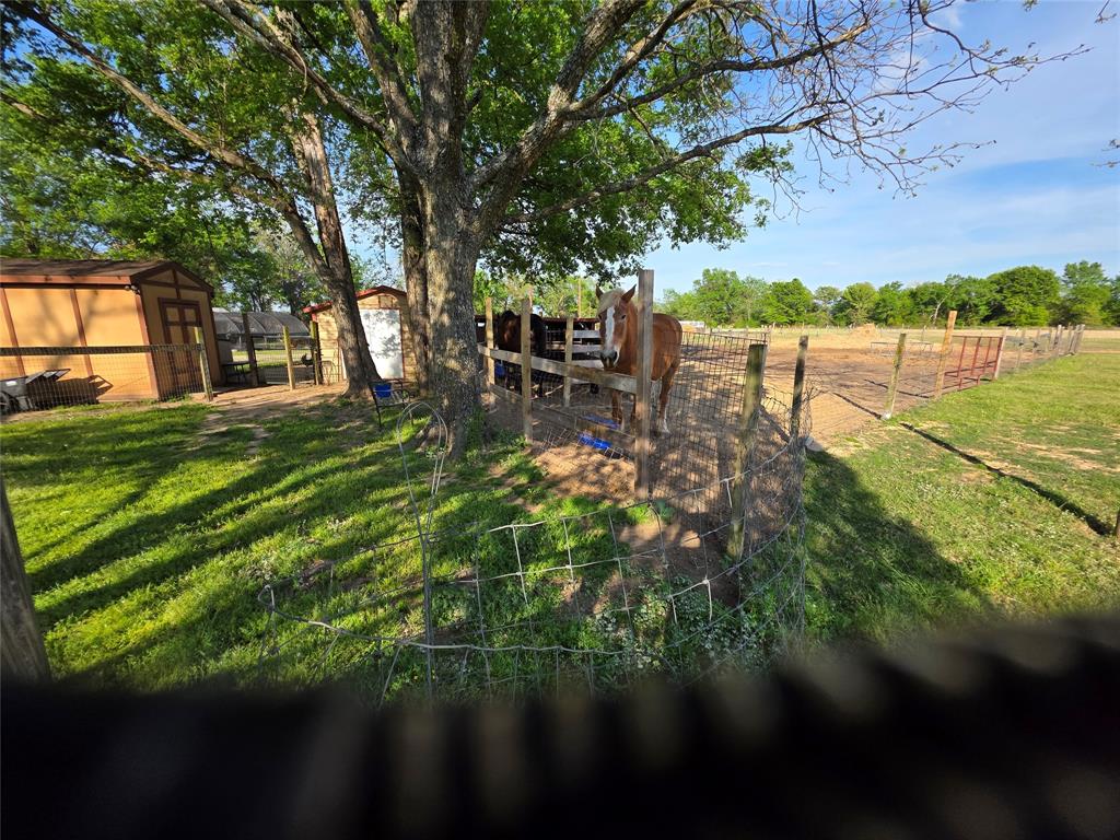 550 Rs County Road 3425 Property Photo 6