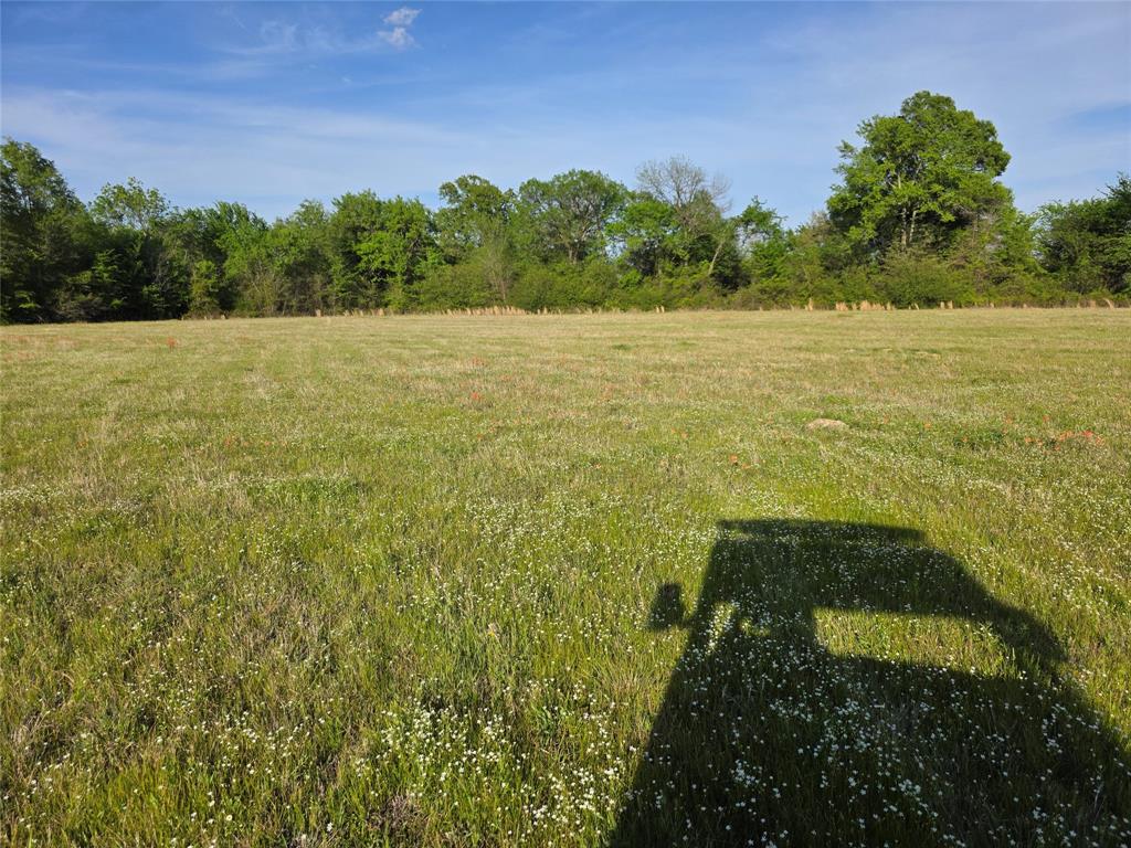 550 Rs County Road 3425 Property Photo 25