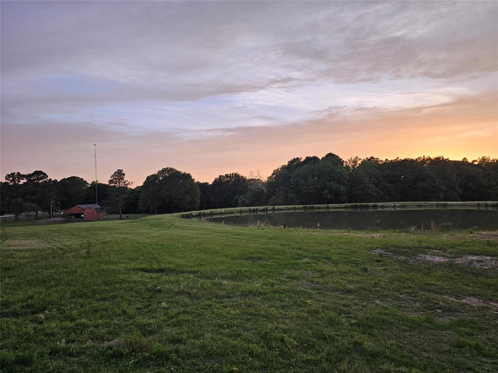 10860 Farm Road 197 Property Photo 5