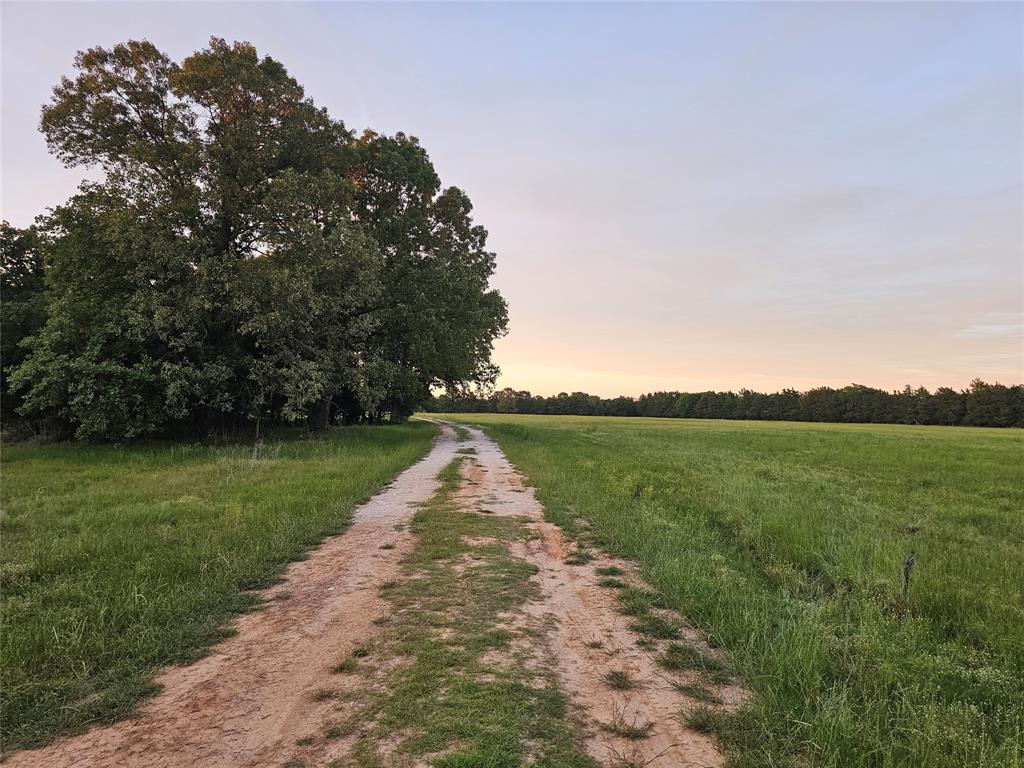 10860 Farm Road 197 Property Photo 39