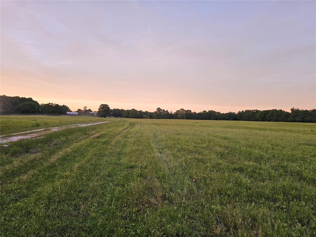 10860 Farm Road 197 Property Photo 40
