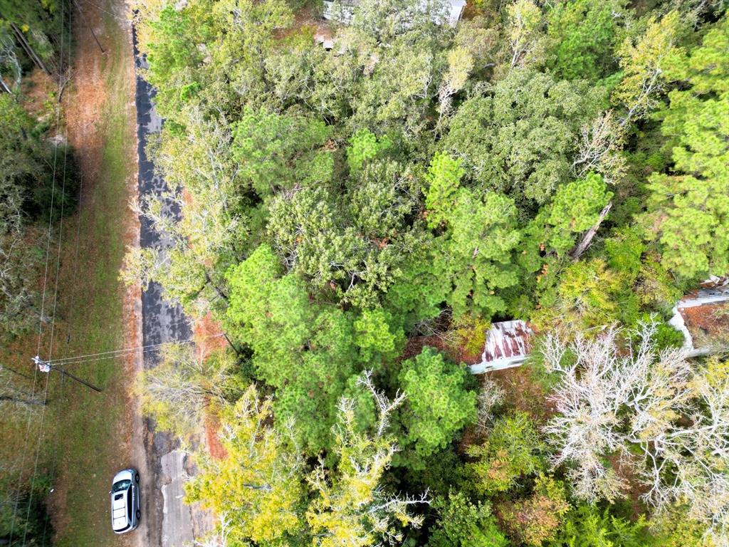 307 Cherokee Drive Property Photo 6