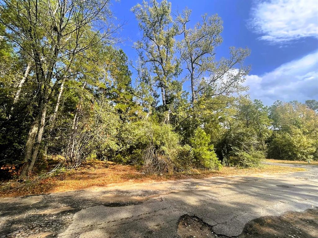 307 Cherokee Drive Property Photo 11