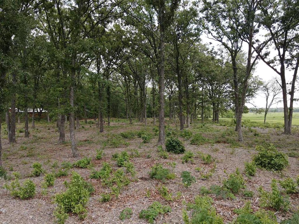 Tbd Fm 195 Property Photo 6