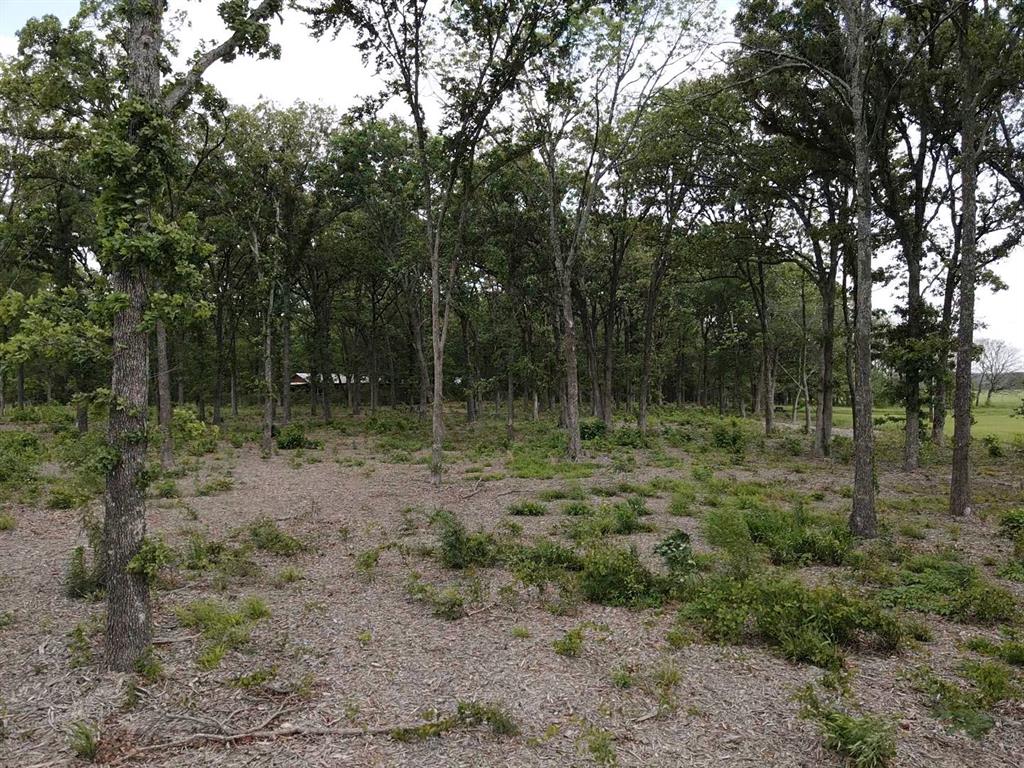 Tbd Fm 195 Property Photo 7