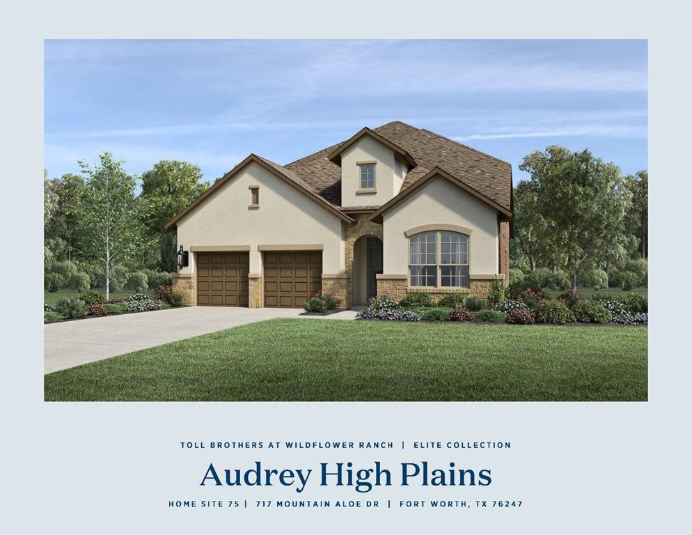 717 Mountain Aloe Drive Property Photo 1