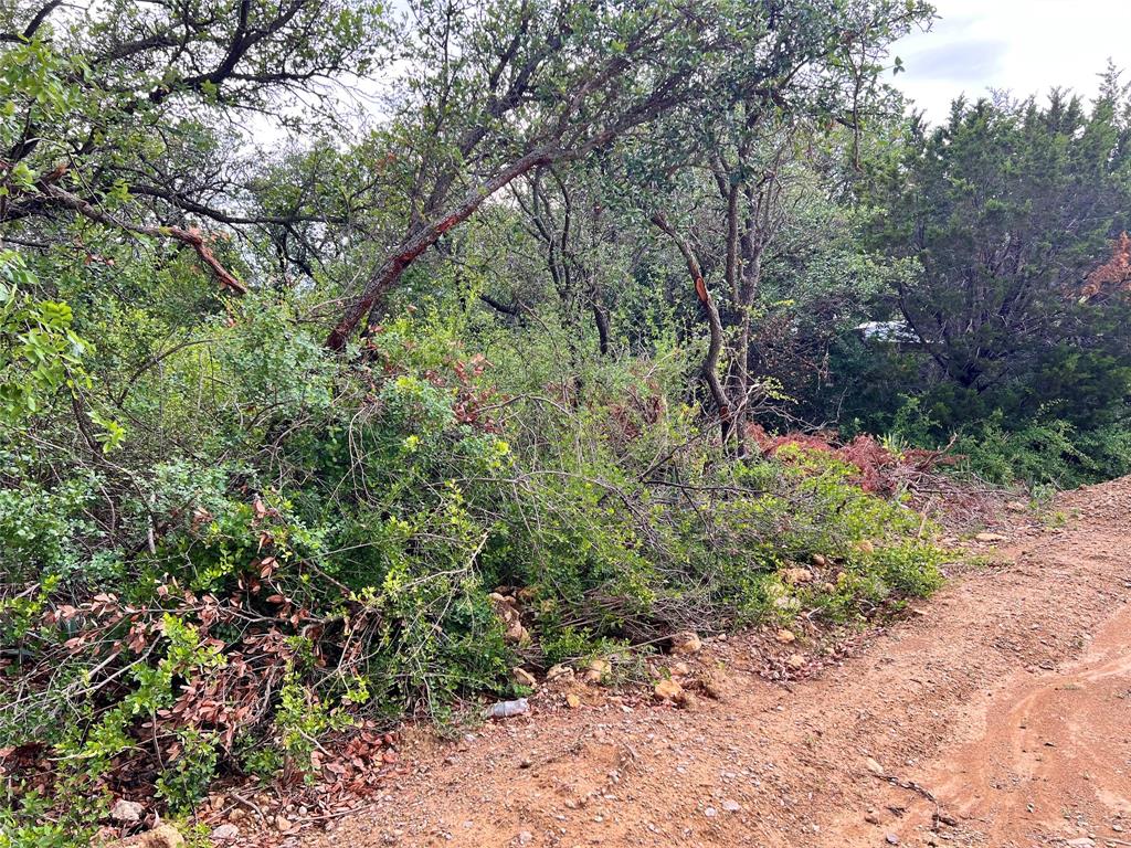 Lot 160 Luker Circle Property Photo 2