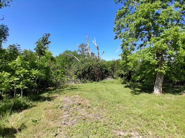 1017 Caron Property Photo 4