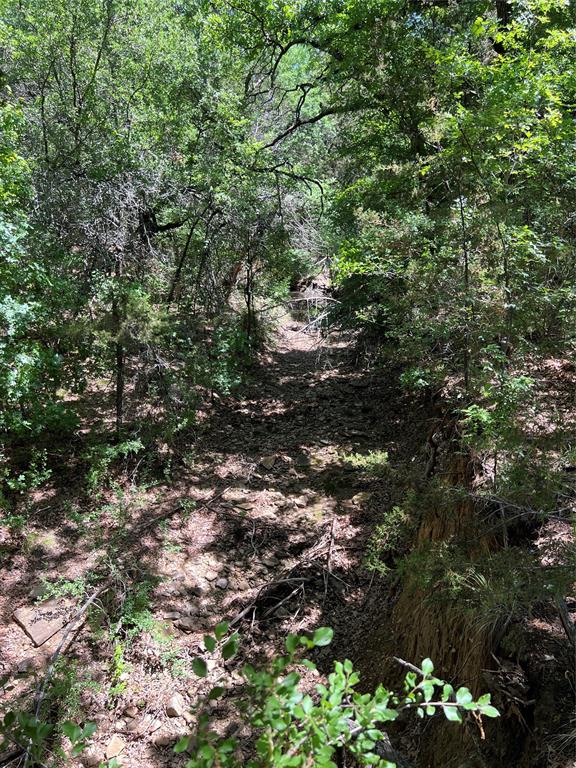 Tbd Lake Creek Road Property Photo 6