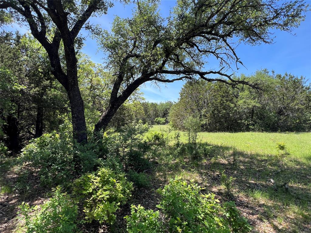 Tbd Lake Creek Road Property Photo 7