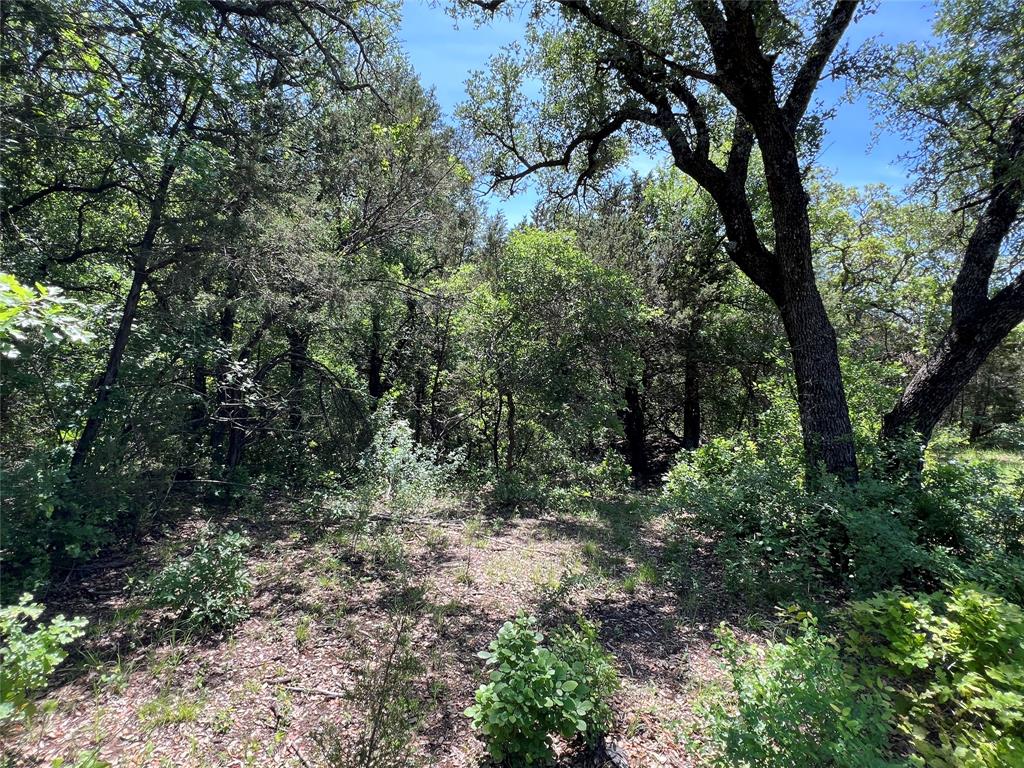 Tbd Lake Creek Road Property Photo 8