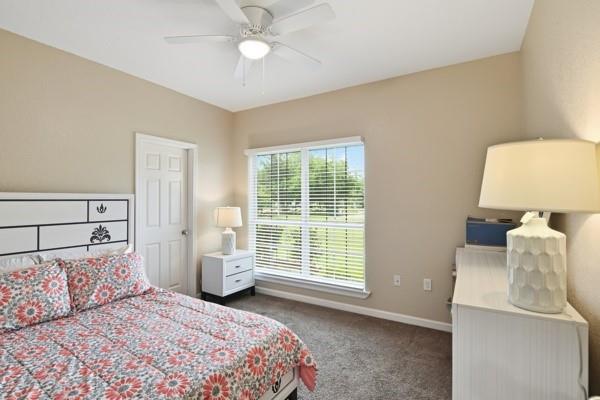 25452 Williams Drive Property Photo 18