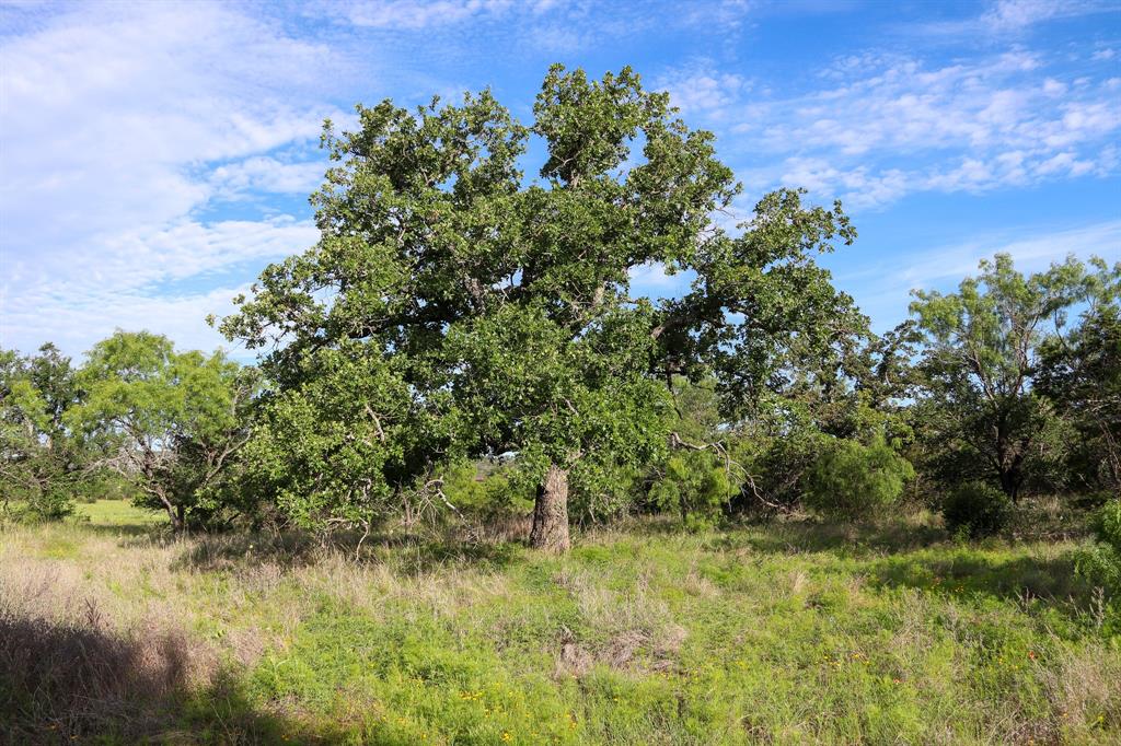 Tbd Oak Ridge Tr Property Photo 1