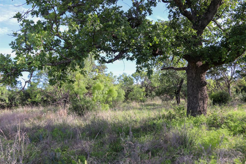 Tbd Oak Ridge Tr Property Photo 5