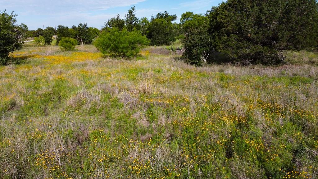Tbd Oak Ridge Tr Property Photo 8