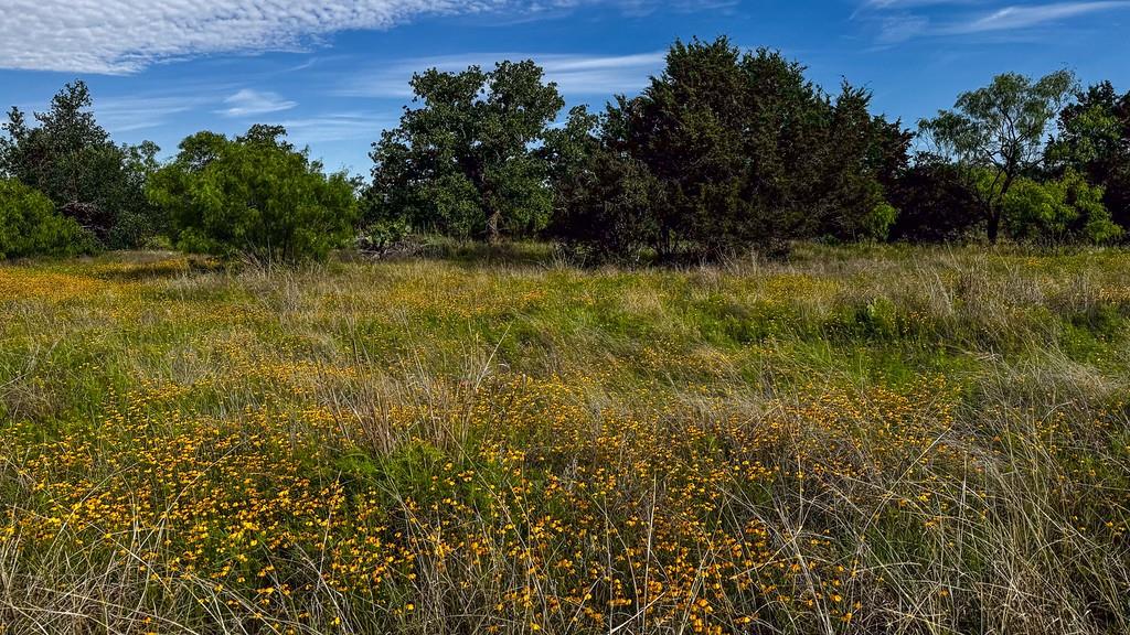 Tbd Oak Ridge Tr Property Photo 9