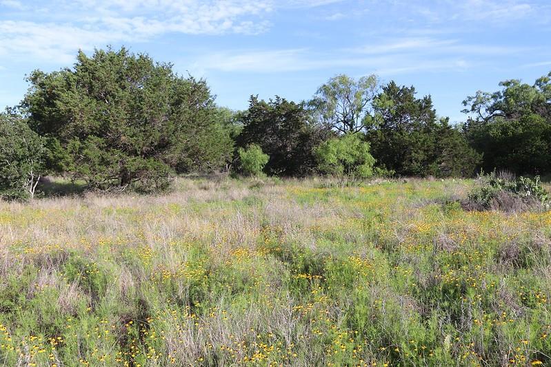 Tbd Oak Ridge Tr Property Photo 13