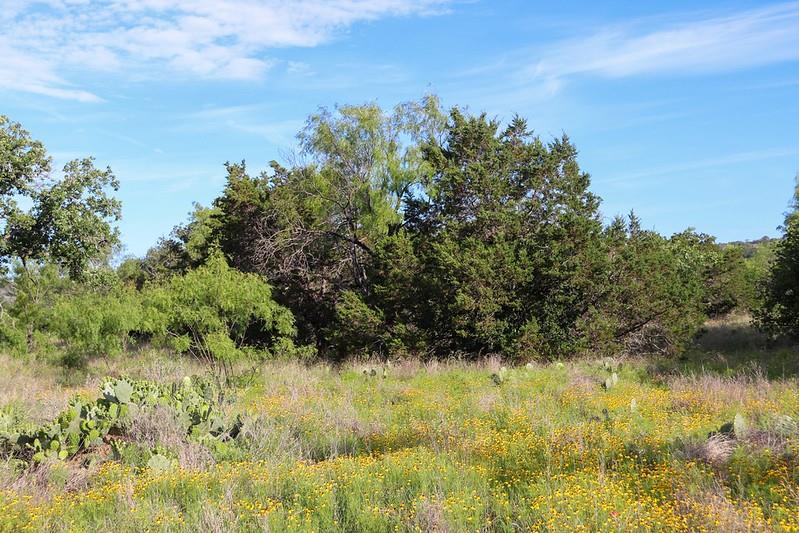 Tbd Oak Ridge Tr Property Photo 15