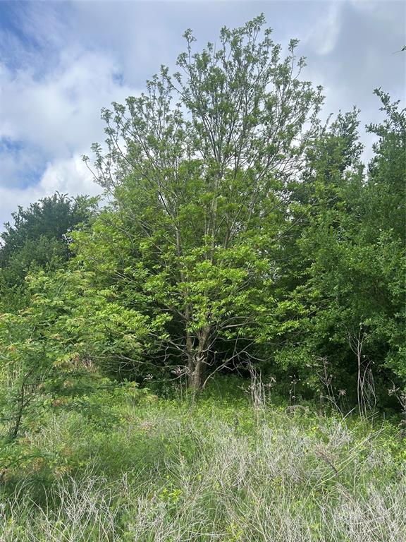 Tbd Hcr 3352 Property Photo 13
