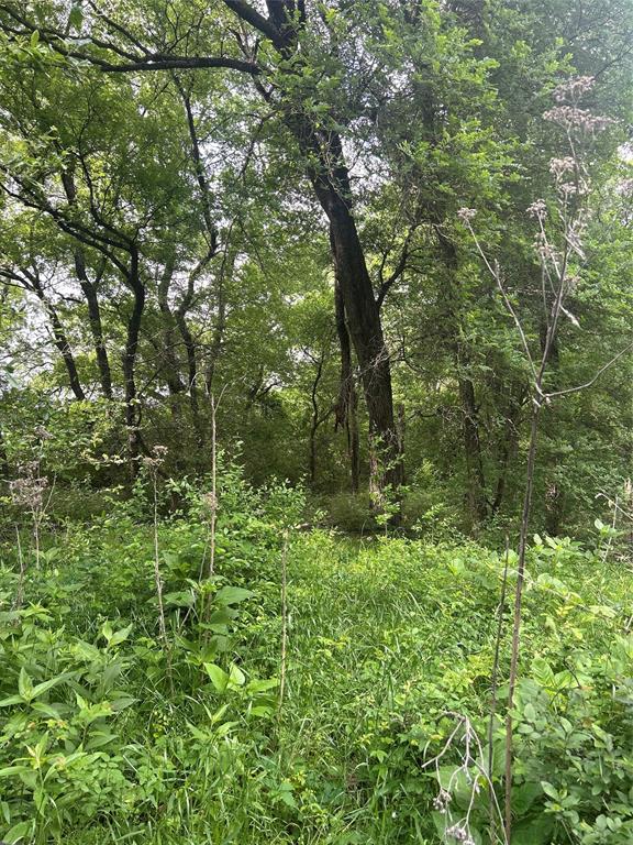 Tbd Hcr 3352 Property Photo 15