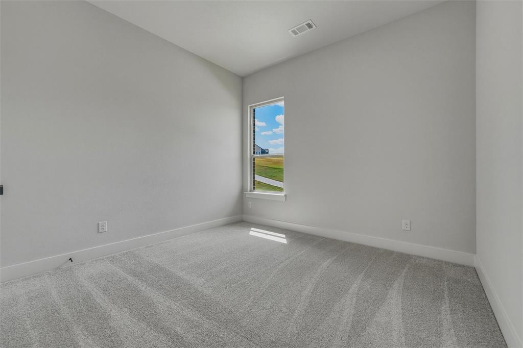 421 Texas Sage Trail Property Photo 18