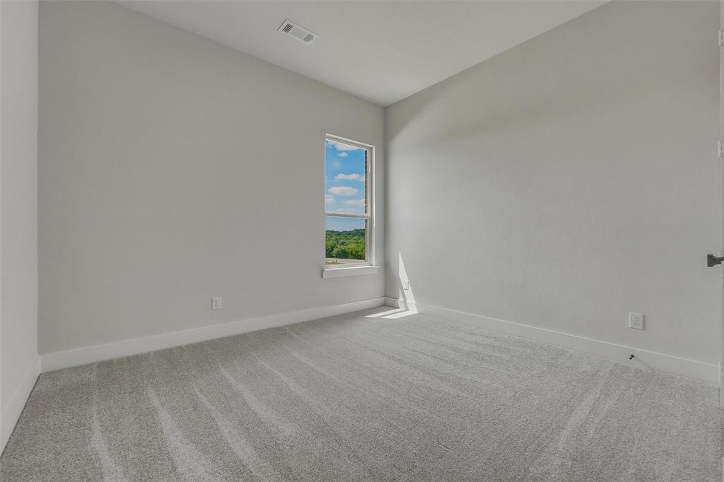 421 Texas Sage Trail Property Photo 19