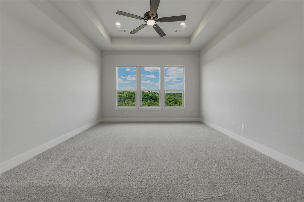 421 Texas Sage Trail Property Photo 21