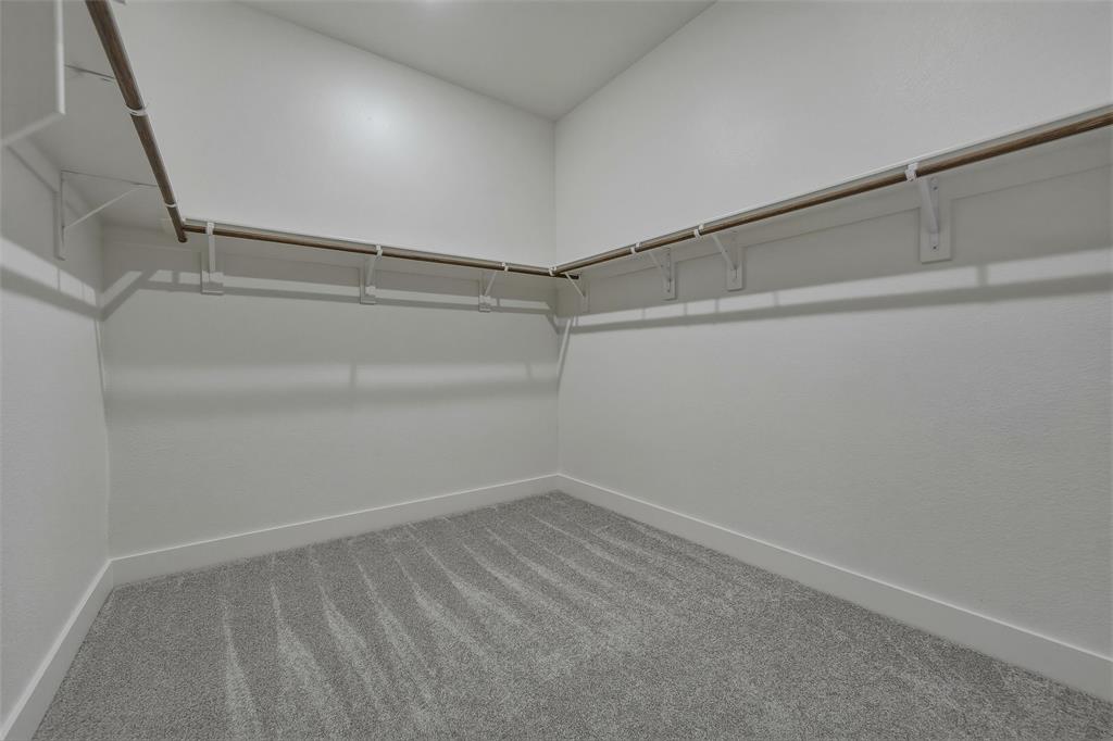 421 Texas Sage Trail Property Photo 22