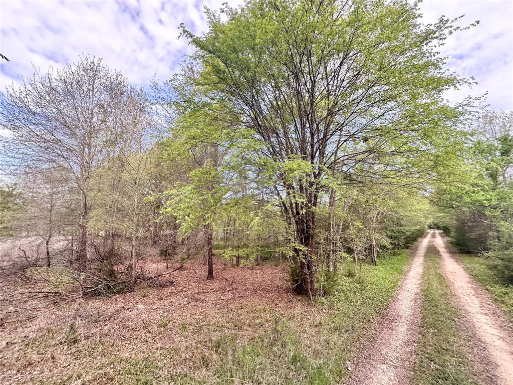 0 Cr 3508 Property Photo 1