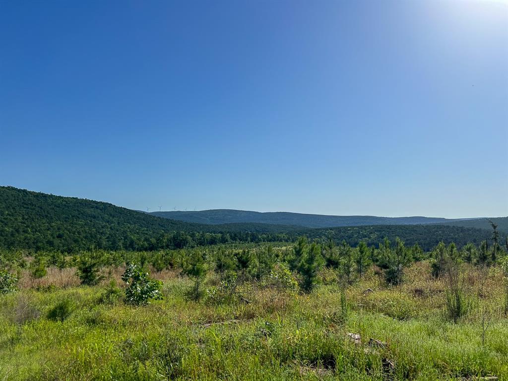 0 D4289 Road Property Photo 4