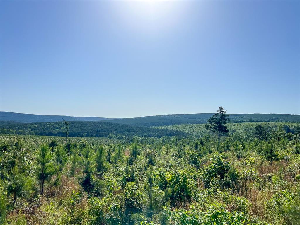 0 D4289 Road Property Photo 5