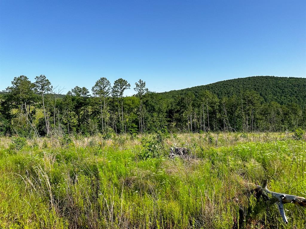 0 D4289 Road Property Photo 6