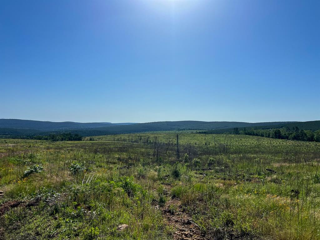 0 D4289 Road Property Photo 7