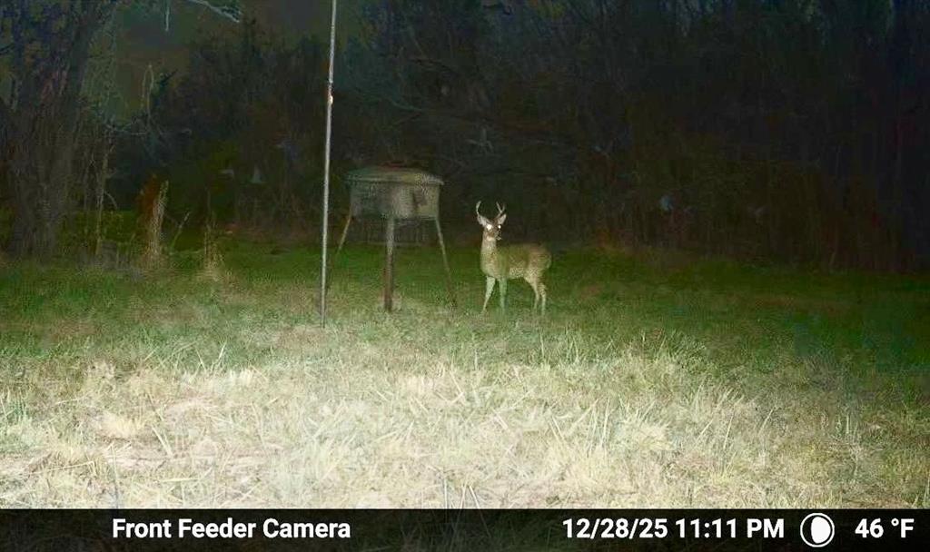 7600 County Road 1500 Property Photo 20