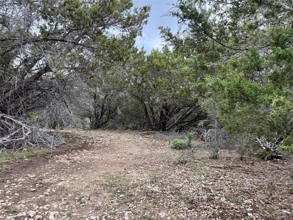 903 County Road 112 Property Photo 4