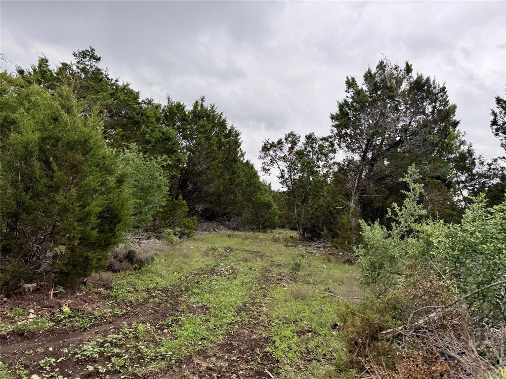 903 County Road 112 Property Photo 17
