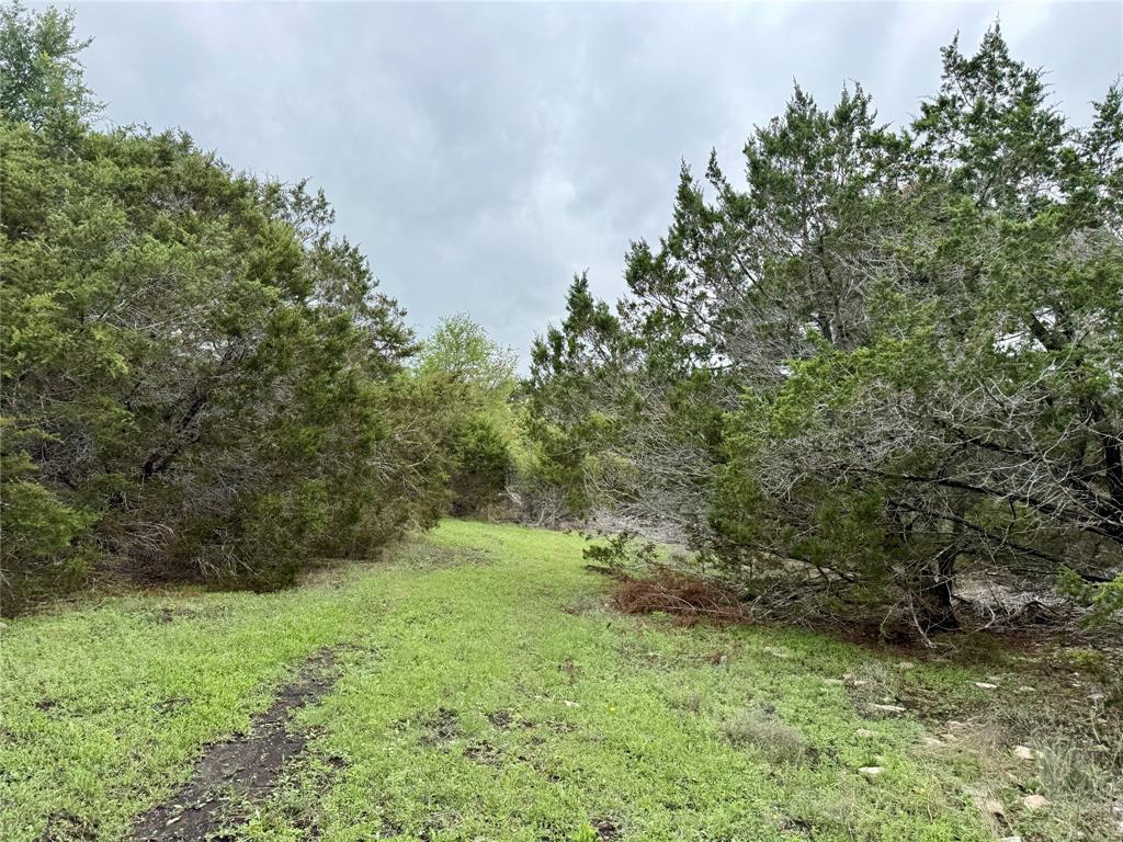 903 County Road 112 Property Photo 25