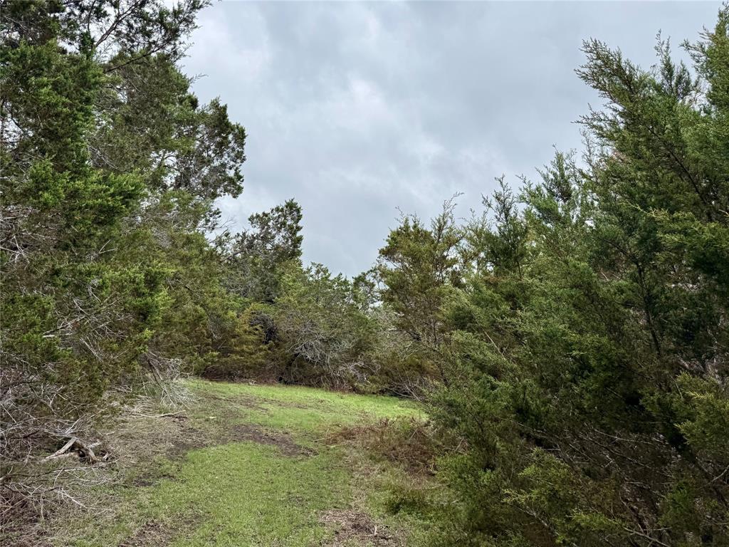 903 County Road 112 Property Photo 28