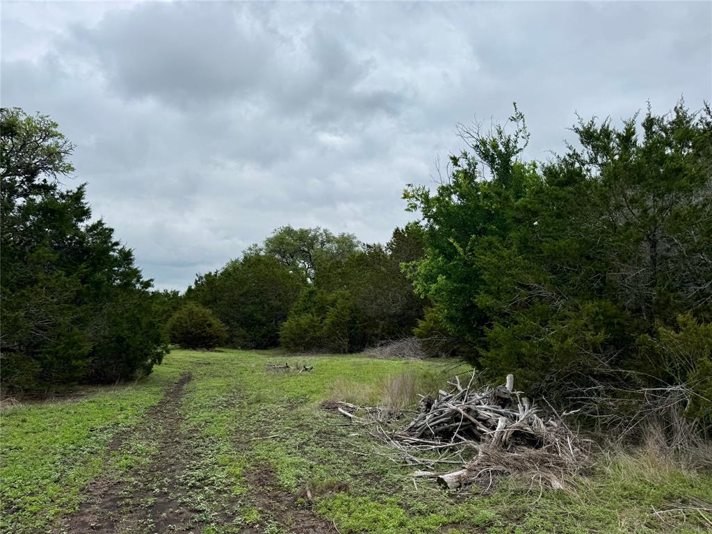 903 County Road 112 Property Photo 33