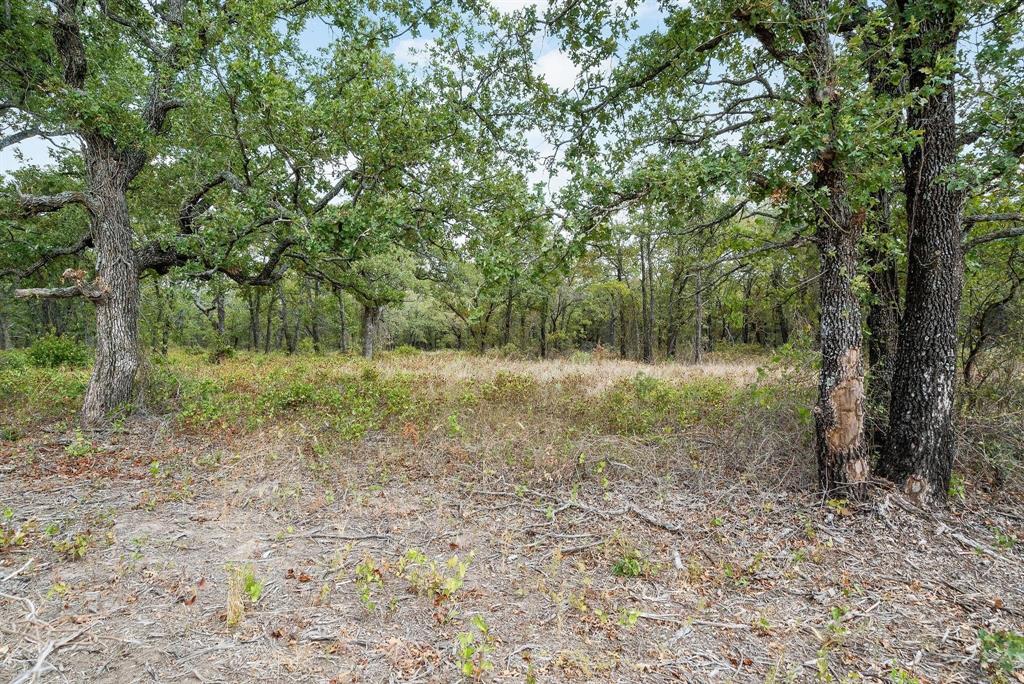 Lot 13 Double B Ranch Road Property Photo 6