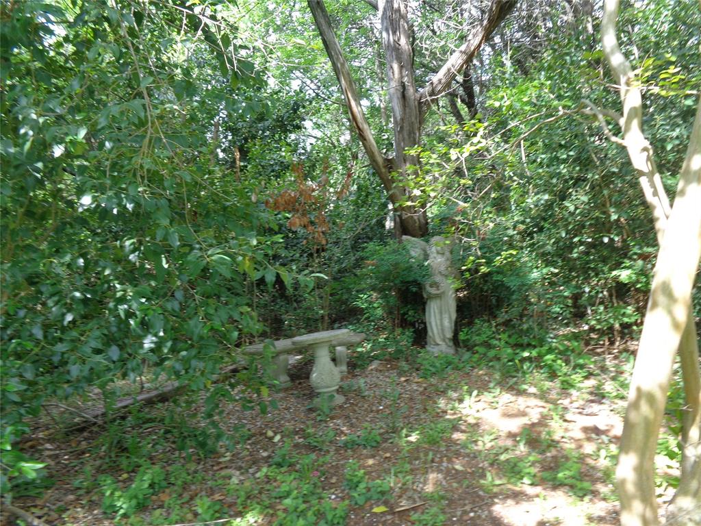 261 County Road 1766 Property Photo 23